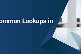 Understanding Common Lookups in Oracle HCM