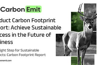 Product Carbon Footprint Report: Achieve Sustainable Success in the Future of Business