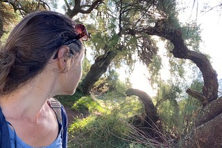 A photo of me looking away from the camera and through the branches of the trees, towards the sea.