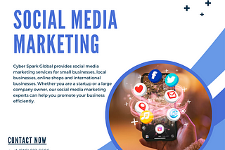 Social Media Marketing Service