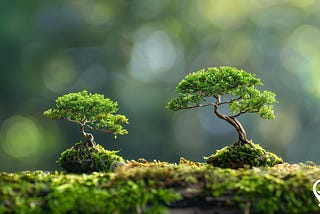 The Art and Science of Bonsai