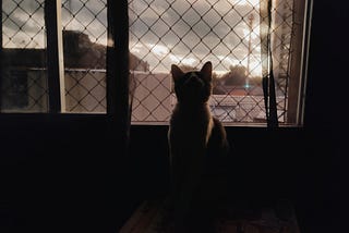 What Dwells in the Shadow
