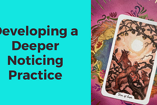 Developing a Deeper Noticing Practice