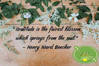 “Gratitude is the fuel to the soul.”