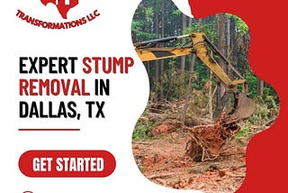 Expert Stump Removal in Dallas, TX — Efficient & Professional Solutions