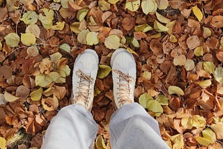Embracing Autumn’s Arrival: The P￼ower of Now