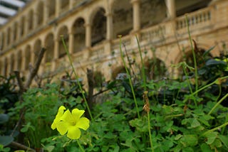 Ancient Maltese Heritage