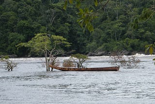 An empty boat on a wide river in the jungle