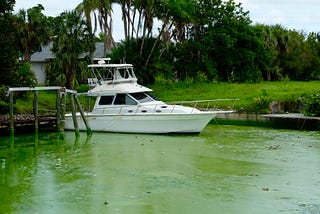 The View from Fort Myers: Paradise has Problems