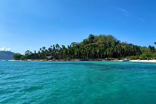 Clear ocean, clear sky, and an island full of palm trees