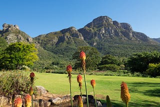 Top Picnic Spots In Cape Town: Experience Splendid Picnics Wherever You Wish