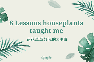 8 Lessons Houseplants Taught Me (How to be a better person & designer)