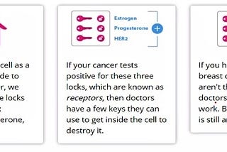A GUIDE TO TRIPLE NEGATIVE BREAST CANCER