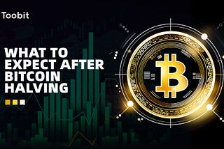 What To Expect After Bitcoin Halving