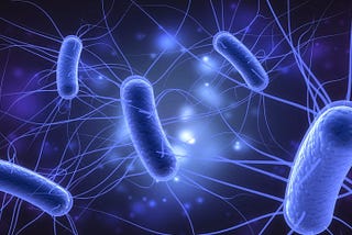 Simulating E. coli with Tinkercell