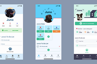 Three screen mockups depicting design iterations over time. The mockups portray an electric dog collar app for a dog named Juno.