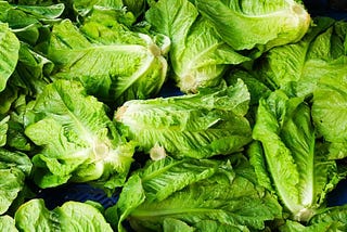 Area Man Eats Salad to Get Sick