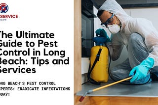 The Ultimate Guide to Pest Control in Long Beach: Tips and Services