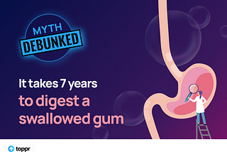 Myth Debunked: It Takes 7 Years to Digest a Swallowed Gum