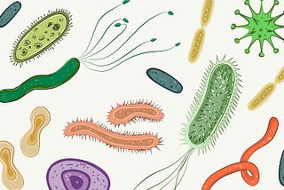 Why the Gut Microbiome is crucial for your Mental Health