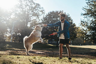 Five Ways To Help Your Dog Live Longer