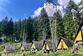 Regeneration and Visions that Challenged the Status Quo: The Eni Village in Borca di Cadore