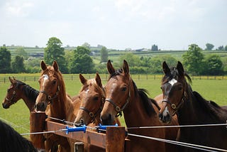 ​Respiratory Disease in Weanlings with Compromised Immune Systems