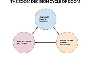 Diagram explaining how Zoom delays and erases decision-making.