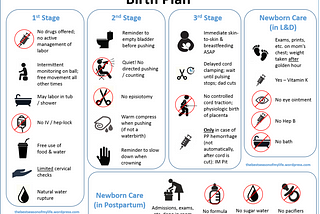 Conquer Pregnancy Like a Queen: Your Ultimate Birth Planner Template (Free Download!)