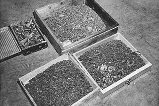 The Extracted Truth: Generational Trauma and Dental Health in Jewish Holocaust Survivor Families