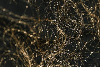 The Nervous System