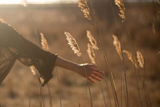 The Witches We Were, The Women We Are: Why We Still Bleed for Lessons We Never Asked For