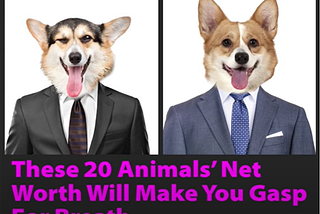The Future Of News Media: What A Mistake!