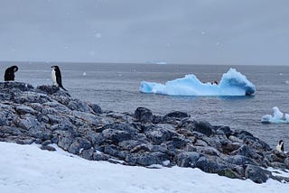 Antarctica Trip — Part 2: What would I do differently if I went to Antarctica again?