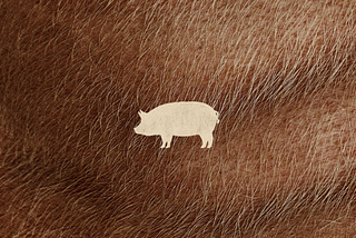 Pig (bond between an animal and an owner; doesn’t contain spoilers)