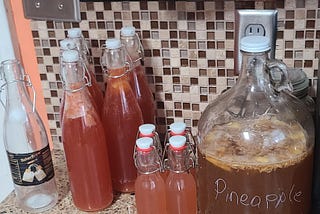 My Kombucha Story