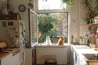 Home-Cooked Dust