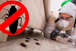 What Are the Best Ways to Get Rid of Roaches Permanently?