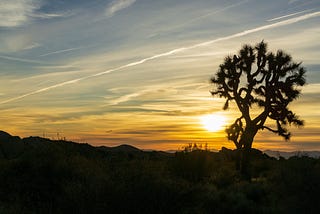 Habits to Stay Grounded in a Remote World