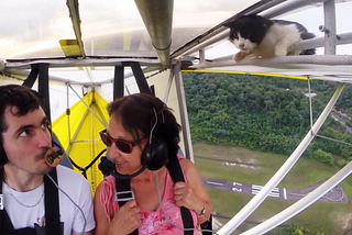 Cat Thrown Off Plane by Hostile Human Pilot