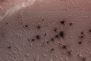 The Mystery of the ‘Martian Spiders’