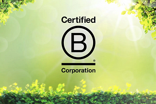 A KOAN Case Study: B Corp Community Leads the Way Toward Better Business