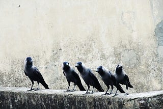 The Parable of the Crows