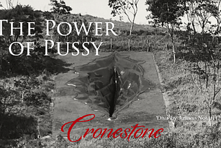 The Power of Pussy