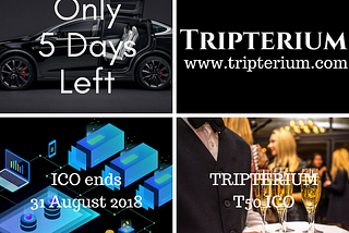 Wow! 91% of Tripterium T50 Tokens Taken with Only 5 Days Left