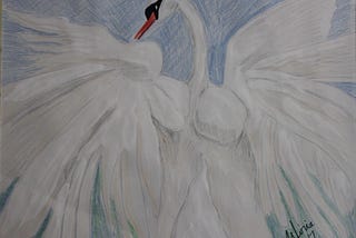 Swan taking flight drawn by me Gloria Poole,RN,artist of/in Missouri