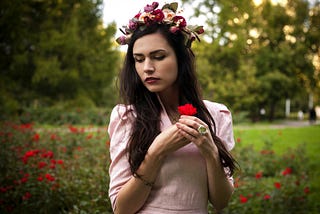 A Rose for Rose