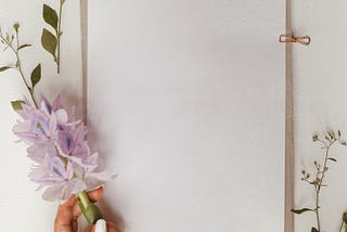 a woman’s hand, in a ruffled white sleeve with nails painted white, holds a stem of iris flowers over a blank page of paper.