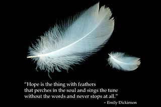 Hope is the Thing with Feathers…