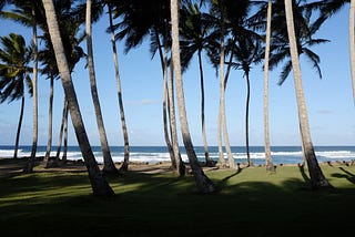 Libre on Encuentro Beach